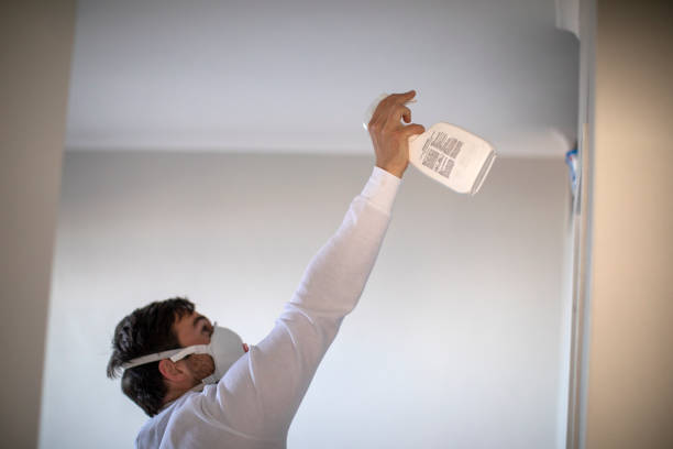 Attic Mold Removal in Willard, OH